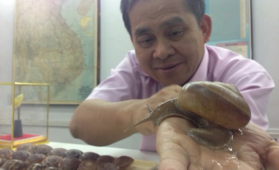 ข่าว Where Do You Buy Your Snail Slime? A Push to Shop Locally SiamSnail